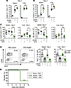 2DG treatment in vivo confers MCMV susceptibility.