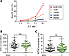 2DG decreases human NK cell cytotoxicity.