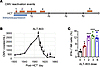 ALT-803 treatment of CMV reactivation in a posthematopoietic cell transplan