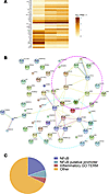 Gene transcription after LPS with or without BC1215 treatment.