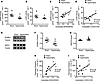 Positive correlation between acetylation of either β-hydroxyacyl CoA dehydr