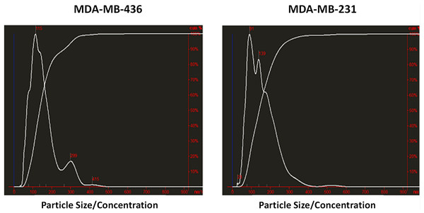 Analysis of exosomes produced by breast cancer cell lines, MDA-MB-436 and MDA-MB-231, with Nanosight LM10-HS instrument.