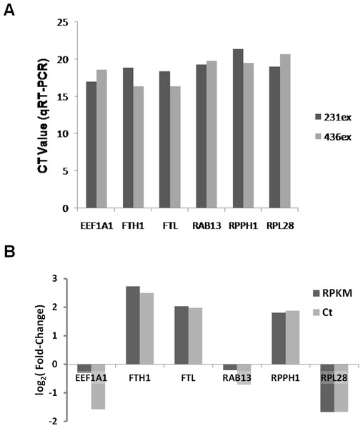 Validation of RNA-seq data by qRT-PCR.