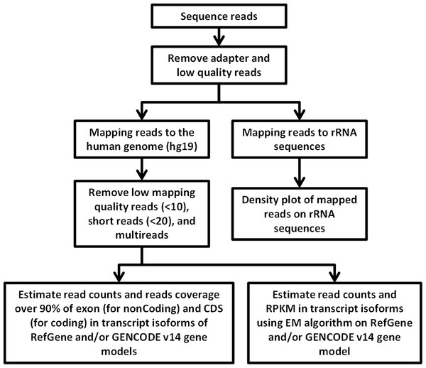 Flowchart of RNA-seq data analysis.