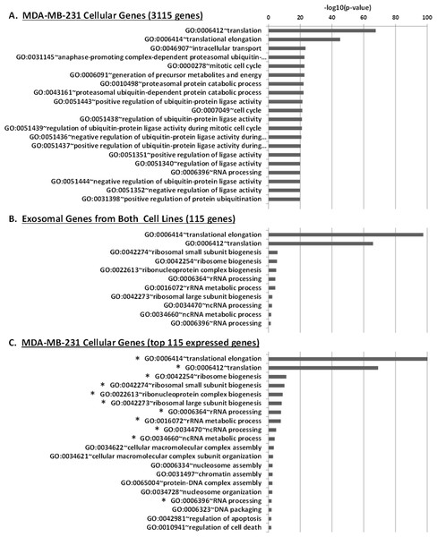 Gene Ontology (GO) enrichment analysis of genes detected in cellular and exosomal RNA from breast cancer cell lines.