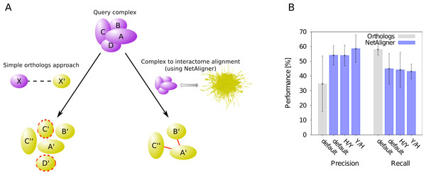 Network alignment vs. simple orthologs approach in predicting protein complexes.