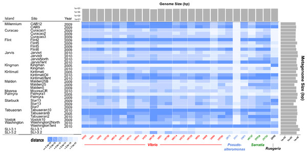 Heatmap comparing all genomes sequenced to Line Islands metagenomes.