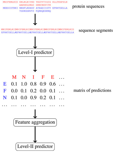 Schematic depiction of our two-stage ensemble method.