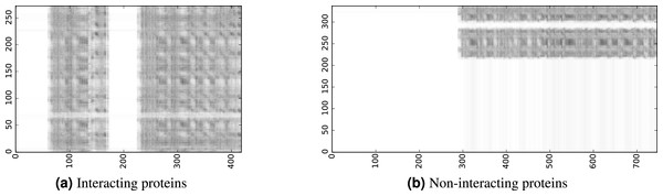 The level-I prediction matrices for two protein pairs.