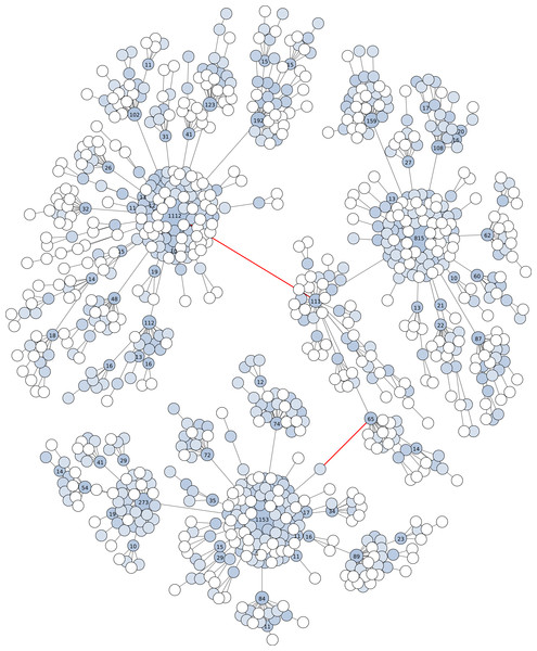 Graphical representation of an OTU produced by Swarm (breaking and grafting phases deactivated) when clustering the BioMarKs 18S rRNA V4 dataset (amplicons are appr. 380 bp in length).