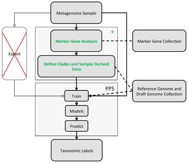 Illustration of the PhyloPythiaS+ workflow.