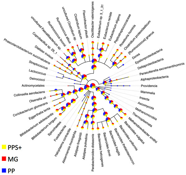 Comparison to expert binning based on marker genes.