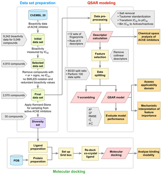 Workflow of QSAR modeling and molecular docking for investigating AChE inhibitory activity.