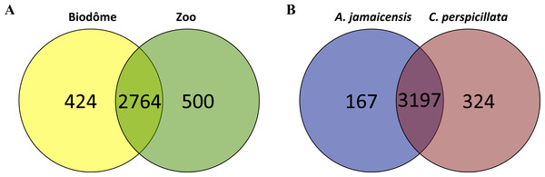 Number of OTUs (operational taxonomic units) enriched in different habitats or host species.