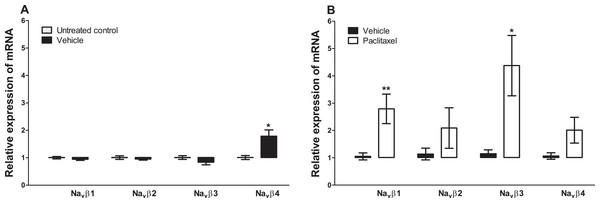 Effects of paclitaxel on sodium channel beta subunits transcript levels in the anterior cingulate cortex (ACC).