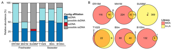 Relative abundance of ssDNA vs dsDNA viruses in freshwater and seawater samples and estimated diversity of ssDNA viruses.