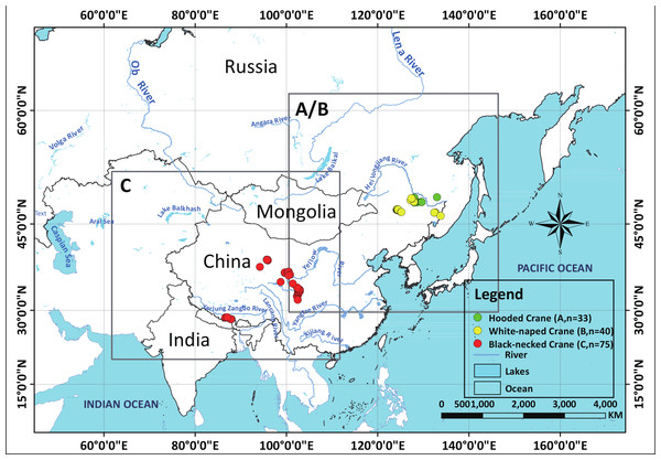 Study areas for three species cranes.