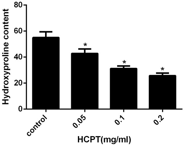 The effect of HCPT on epidural collagen tissue in rats.