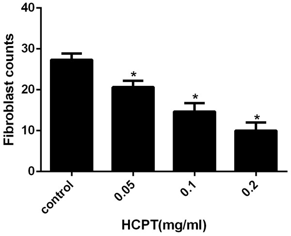 The effect of HCPT on fibroblast counting in epidural fibrosis tissue.