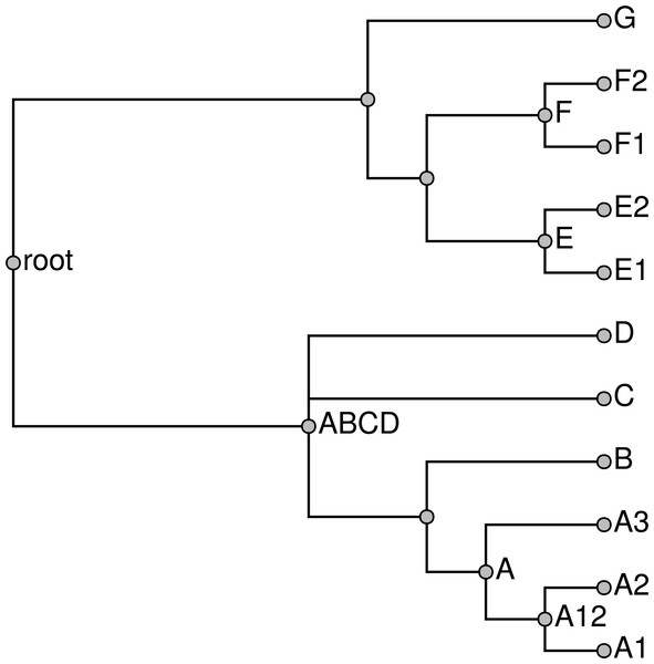 Unpruned tree with internal taxa.