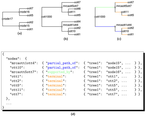 The relationship of edges in summary tree 𝕊 in (B) to edges in the input tree T1 named “tree1” in (A). Only edges of 𝕊 that are present in the induced tree 𝕊(1) in (C) are represented by JSON annotations in (D).