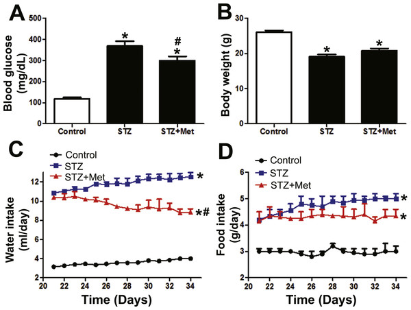 Effects of metformin treatment in STZ-induced diabetic mice on blood glucose, body weight, and feeding behavior.