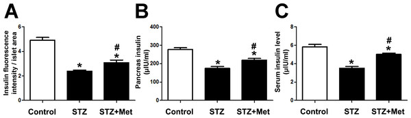 Effects of metformin treatment in STZ-induced diabetic mice on insulin production.