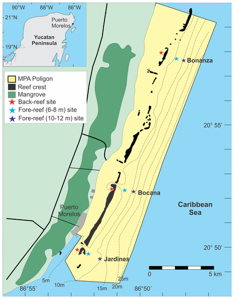 Location of the study sites (figure modified from Monroy-Velázquez & Alvarez (2016)).