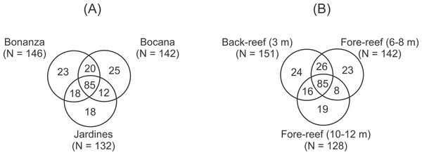 Venn diagrams illustrating the unique and shared taxa of peracarid crustaceans among (A) reef sites and (B) depth within the Puerto Morelos Reef National Park, Mexico.