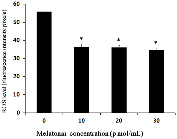 Effects of melatonin on ROS levels in bovine cultured parthenogenetic embryos.