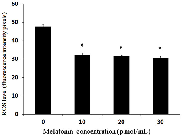 Effects of melatonin on ROS levels in bovine cultured androgenetic embryos.