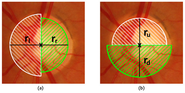 Fractions of the circle considered for OD segmentation.