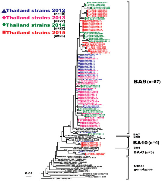 Phylogenetic tree of the RSV-B nucleotide sequences based on the second hypervariable region (HVR2) of the G gene.