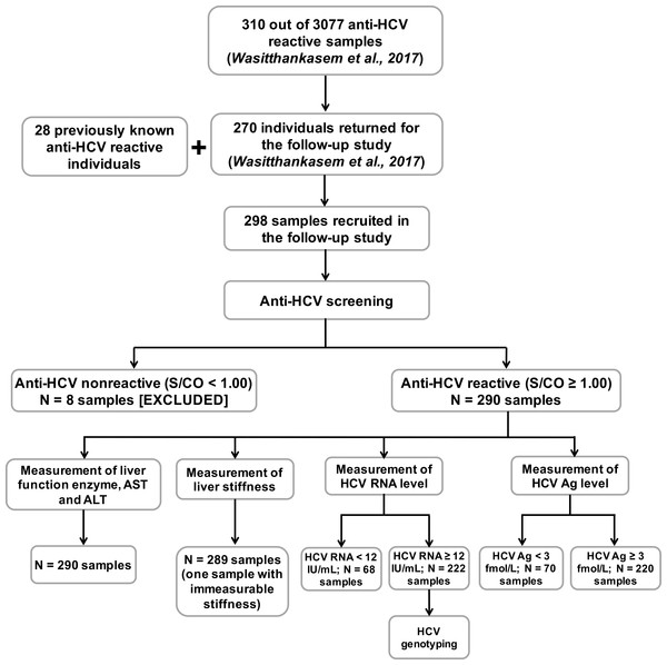 Evaluation of 298 anti-HCV reactive samples in this study.