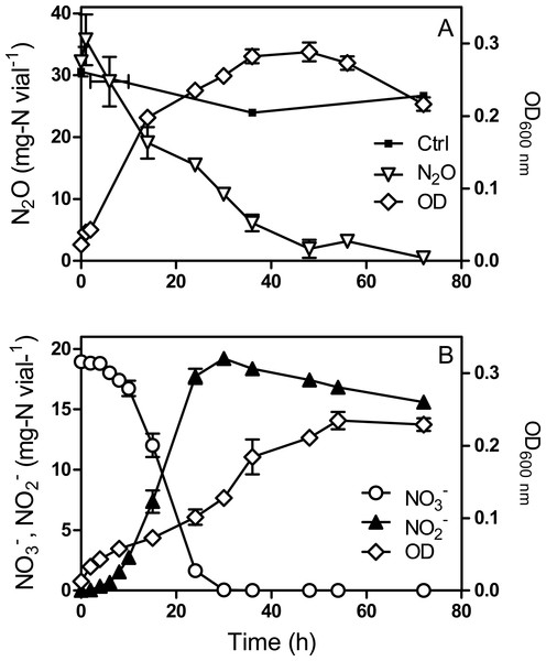 Methylophaga nitratireducenticrescens JAM1 growth with N2O or 
                        
                        ${\mathrm{NO}}_{3}^{-}$
                        
                           
                              
                                 NO
                              
                              
                                 3
                              
                              
                                 −
                              
                           
                        
                      as an electron acceptor.