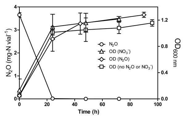 N2O consumption by Methylophaga nitratireducenticrescens JAM1 under oxic conditions.