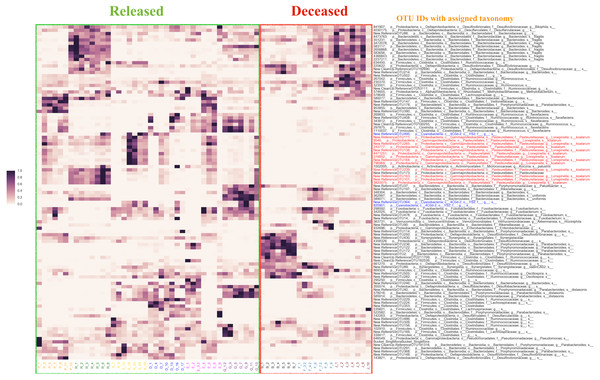 The distribution of the top 20% of feature-importance OTUs across individual samples as determined by Random Forest Analysis.