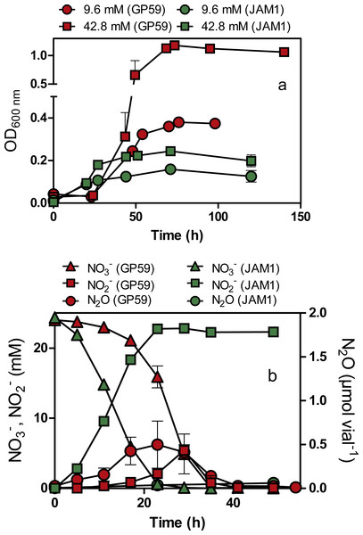 Growth, and NO
                        
                        ${}_{3}^{-}$
                        
                           
                              
                              
                                 3
                              
                              
                                 −
                              
                           
                        
                     , NO
                        
                        ${}_{2}^{-}$
                        
                           
                              
                              
                                 2
                              
                              
                                 −
                              
                           
                        
                      and N2O dynamics by Methylophaga nitratireducenticrescens GP59 and JAM1.