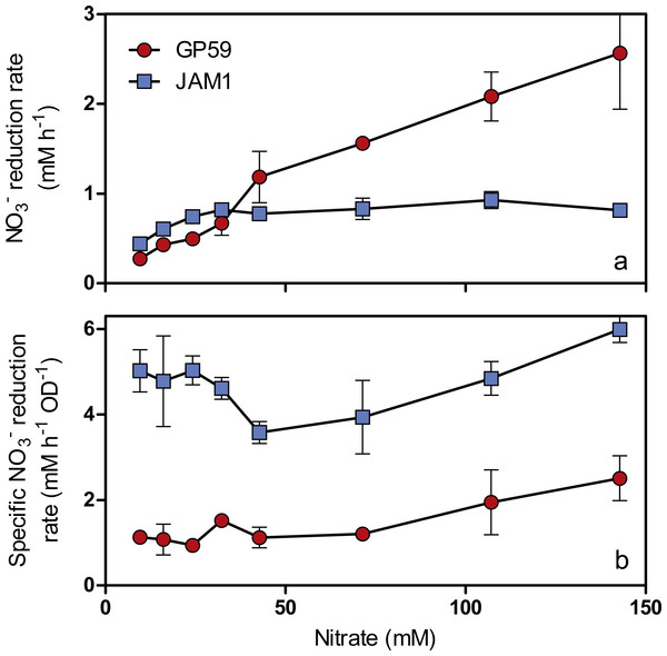 Specific NO
                        
                        ${}_{3}^{-}$
                        
                           
                              
                              
                                 3
                              
                              
                                 −
                              
                           
                        
                      reduction rates.