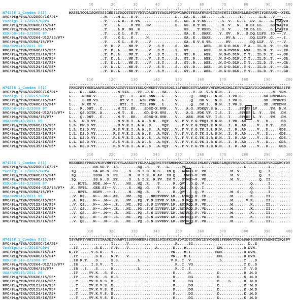 Amino acid alignment of the deduced amino acid residues encoded by the RVC VP4 gene.