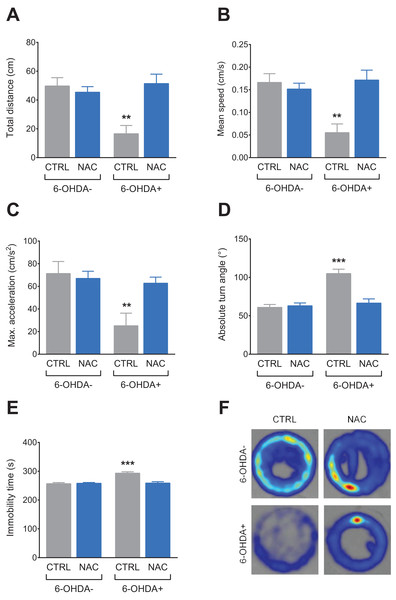 Effects of NAC on 6-OHDA-induced locomotor behavior deficits in zebrafish larvae.