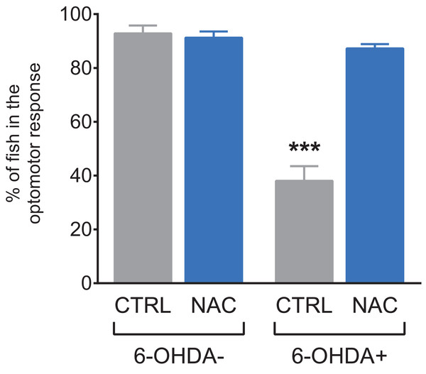 Effects of NAC on 6-OHDA-induced optomotor response deficit in zebrafish larvae.