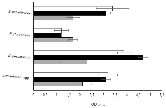 Values of OD570 nm as a measure of biofilm mass at 24 (grey), 48 (black) and 72 h (white).