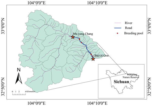 Survey area in the Wanglang NNR.