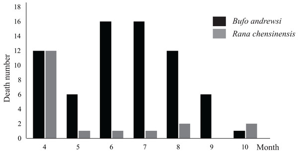 The numbers of B. andrewsi and R. chensinensis deaths in different months of 2017.