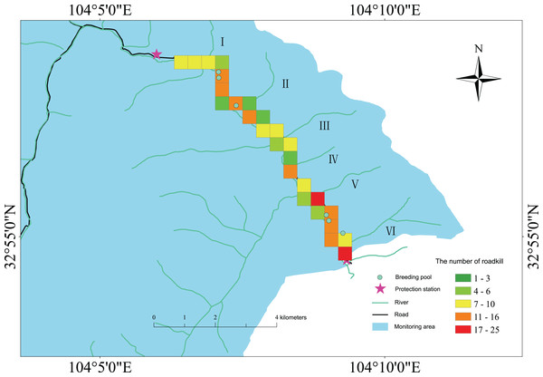 The ‘heatmap’ of amphibian roadkill along the survey road in the Wanglang NNR.