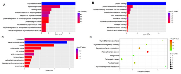 Functional enrichment analysis of overlapped DEGs.