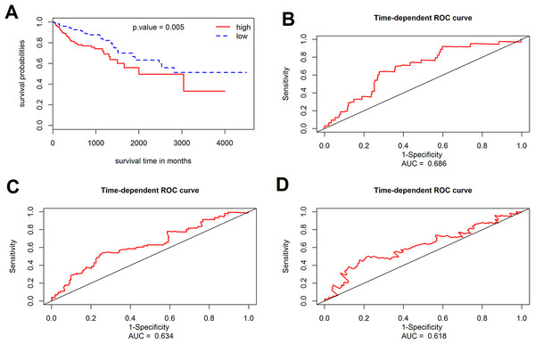 Survival analysis for the gene signature.