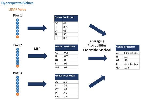 Visual representation of the ensemble method.