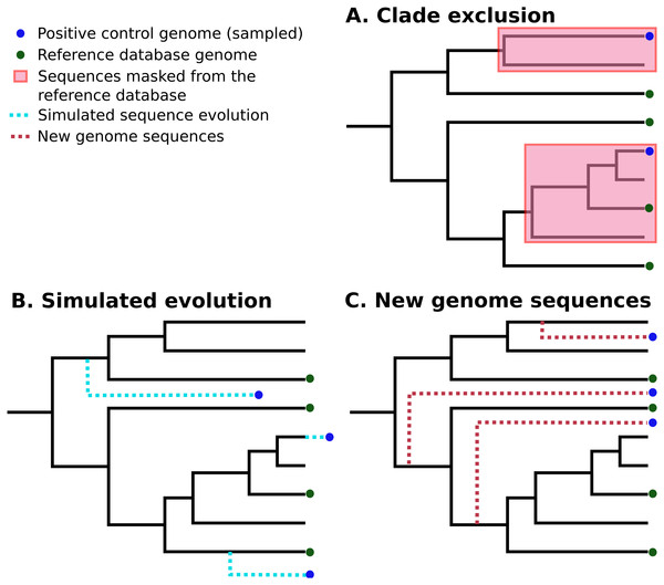 Three different strategies for generating positive control sequencing datasets.